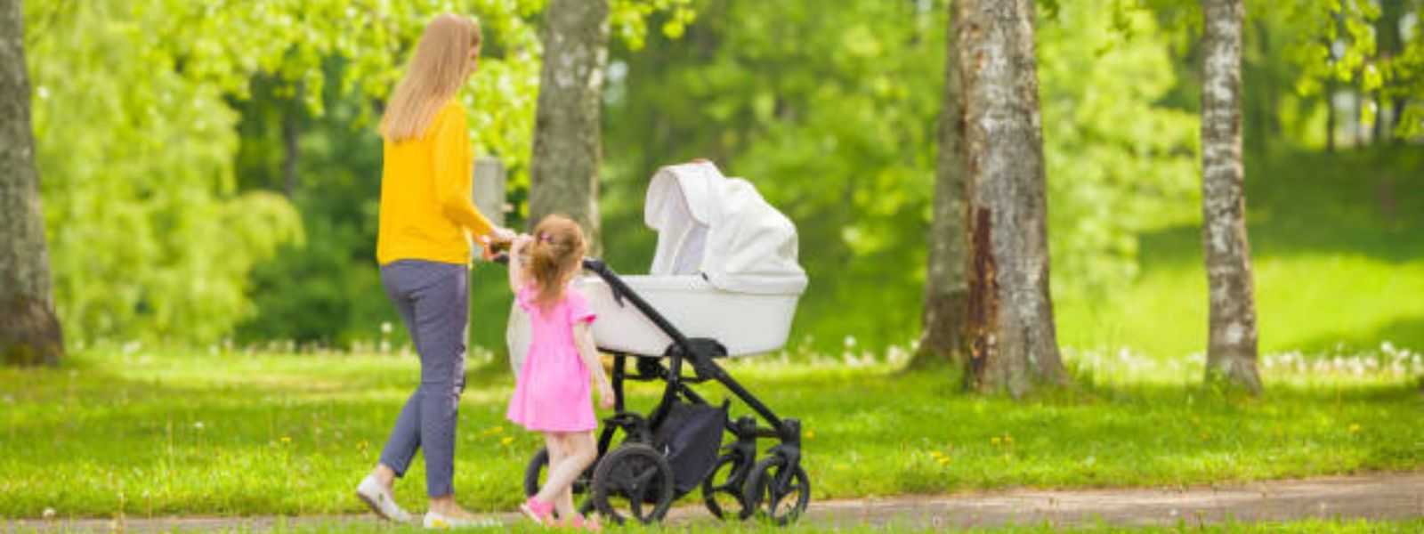 Graco Modes Element Travel System stroller with infant seat